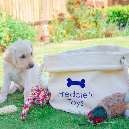 Personalised Dog Toy Storage Basket