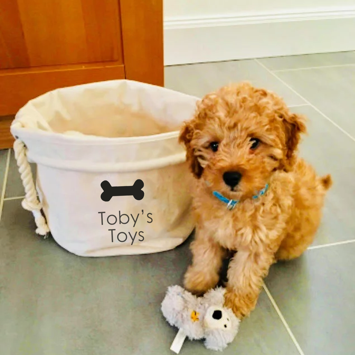 Personalised Dog Toy Storage Basket